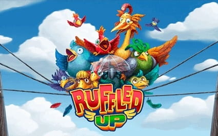 ruffled-up